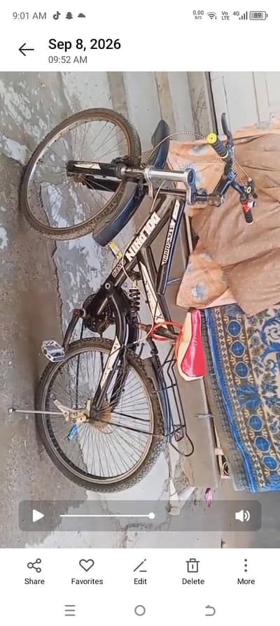 Dolphin river bicycle for sale best condition bicycle for sale