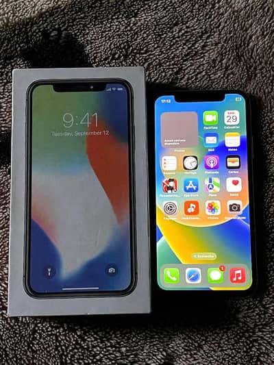 Apple iPhone X