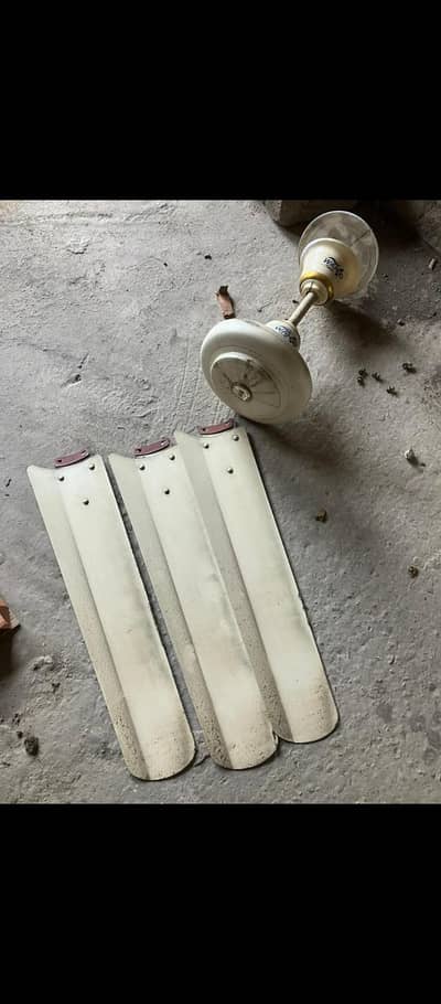 ceiling fan