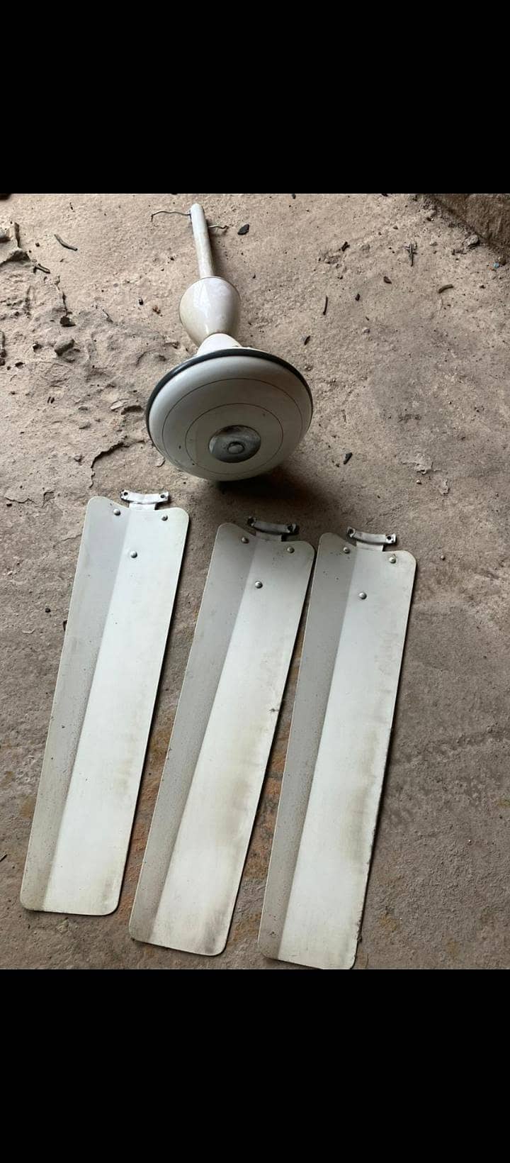 ceiling fan 1