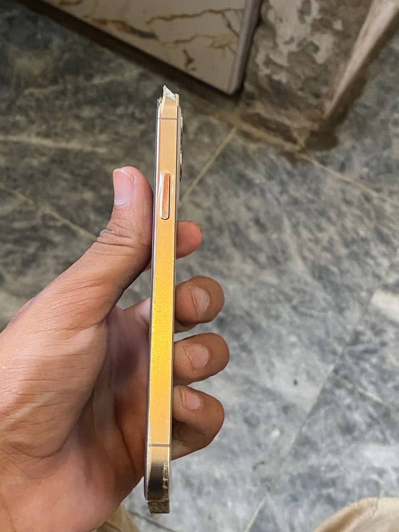 iPhone 12 Pro 1