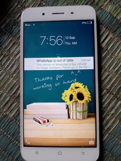 Vivo Y53