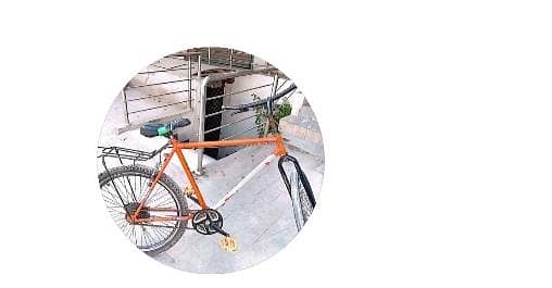 phonics cycle for sale