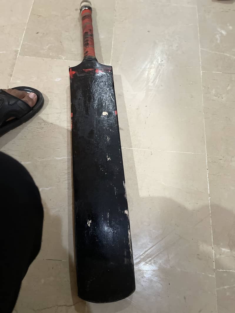 Coconut bat 1