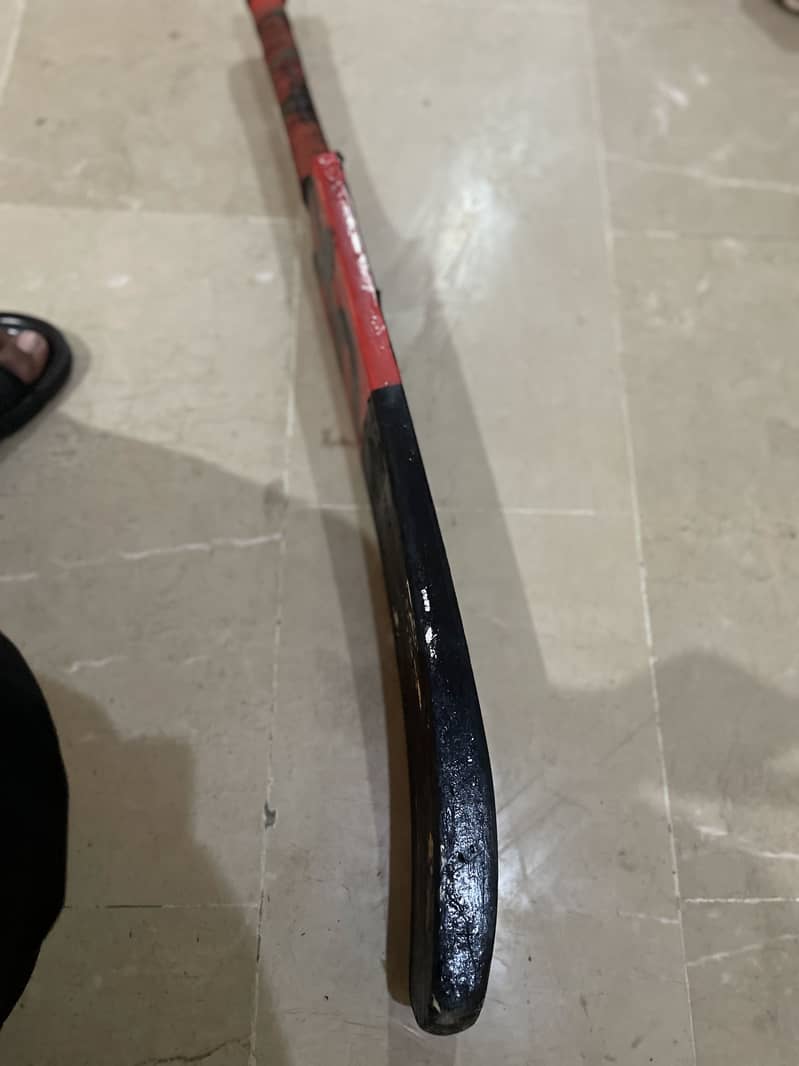 Coconut bat 5