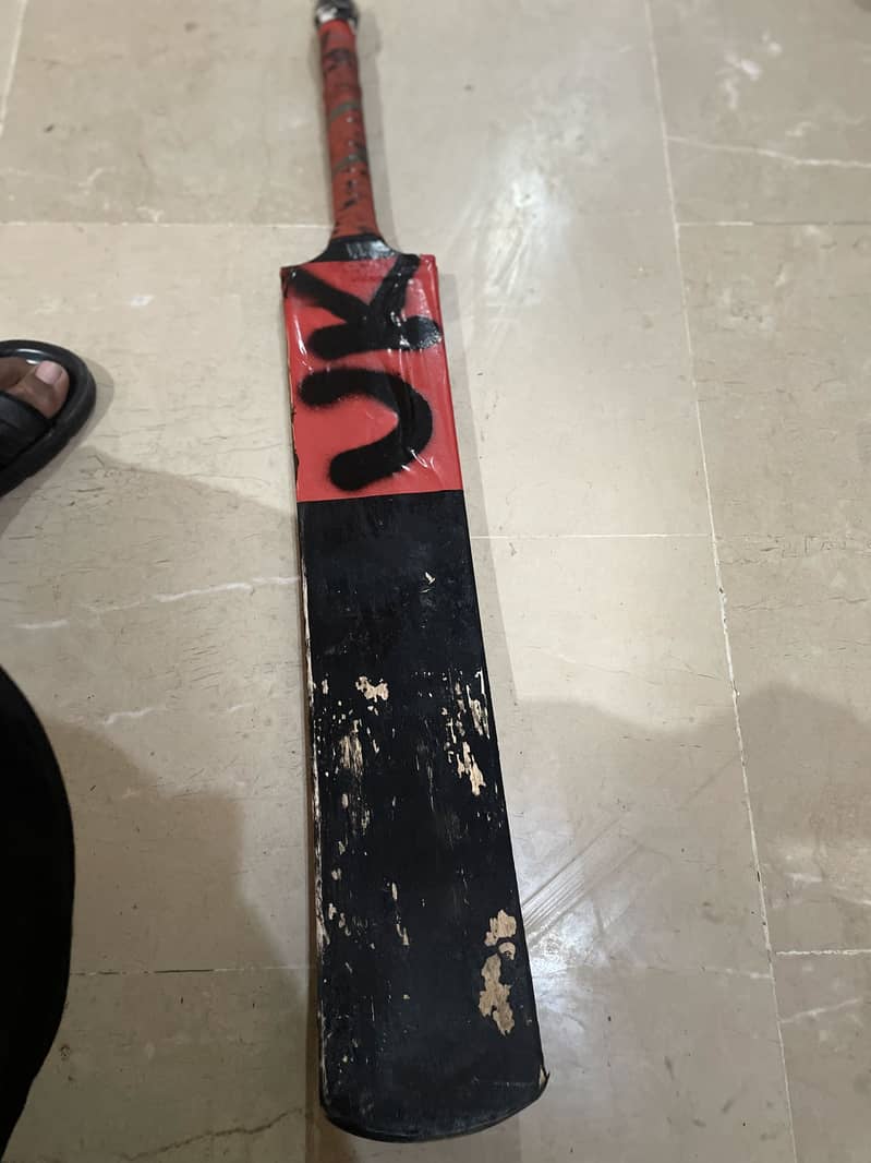 Coconut bat 6