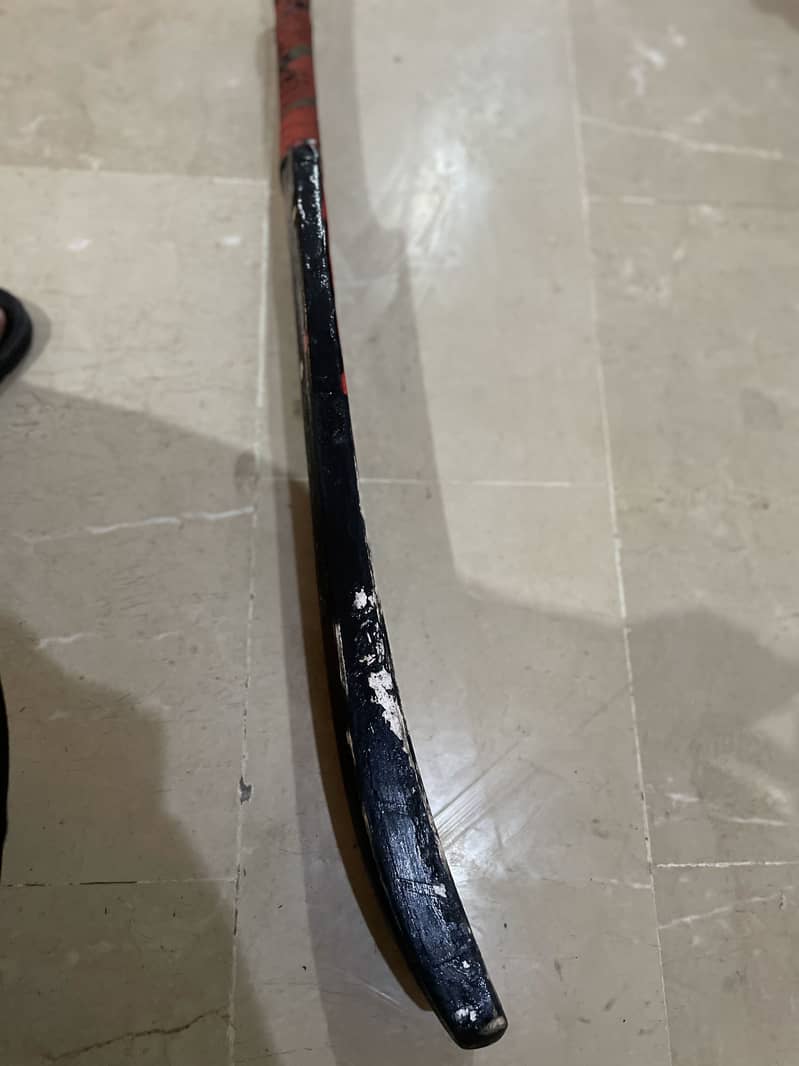 Coconut bat 8