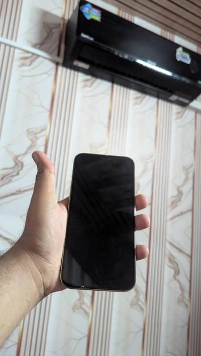 Apple iPhone 12 Pro Max