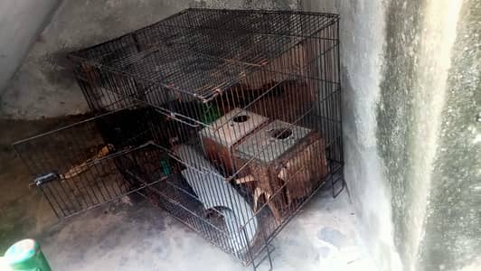 urgent sale karna h