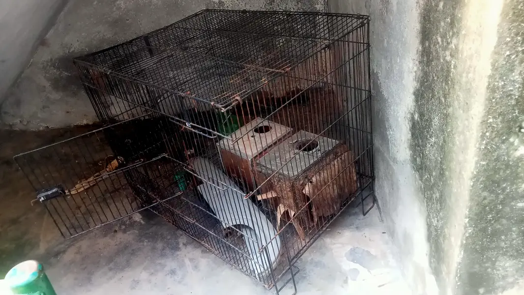 urgent sale karna h