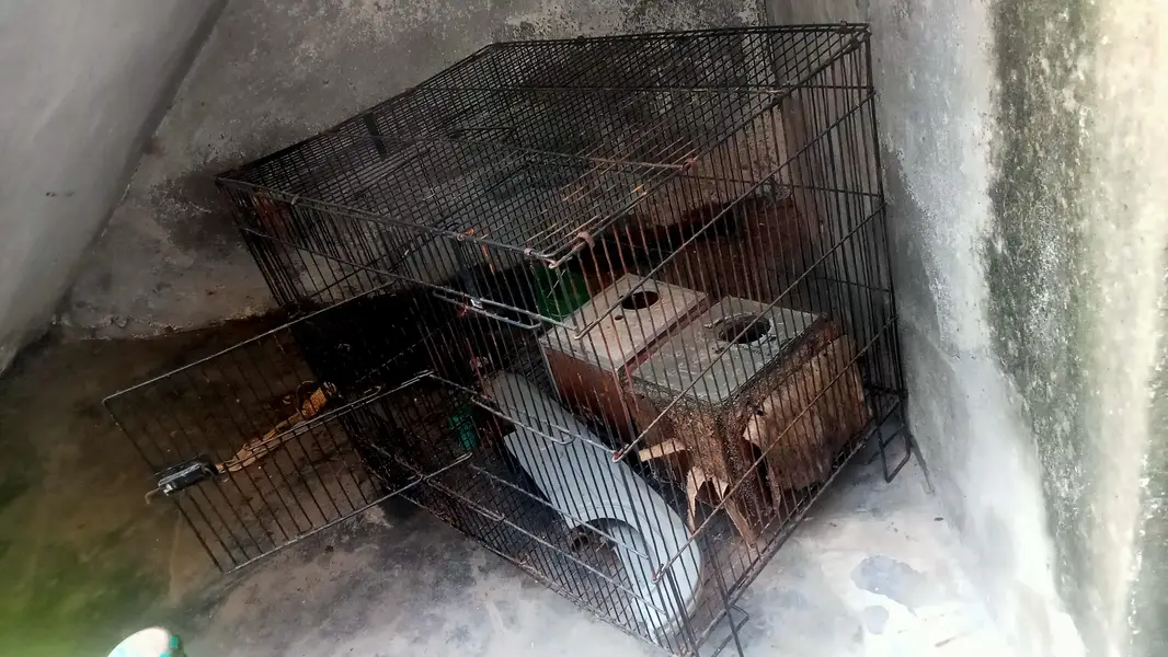 urgent sale karna h — photo 2