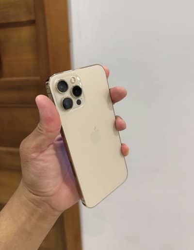 Apple iPhone 12 Pro Max