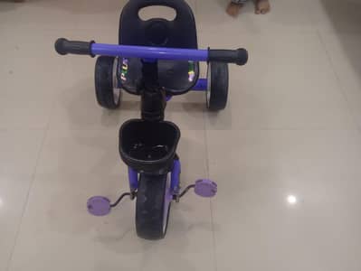 Chinese cycle