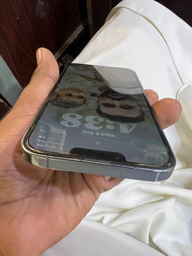 Apple iPhone 13 Pro Max 1