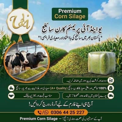 U&I Premium Makai Silage - 80KG Bag - Lahore
