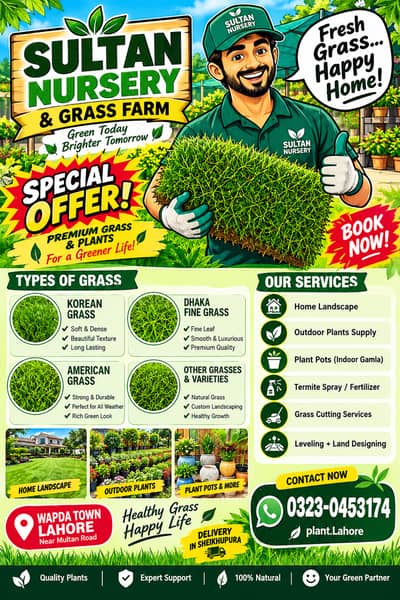 Korean Grass | Fine Dhaka Grass | American Grass | Home Garden Lawn