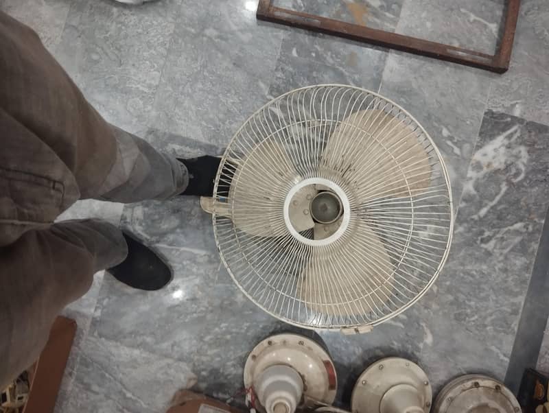 Ceiling Fans 3
