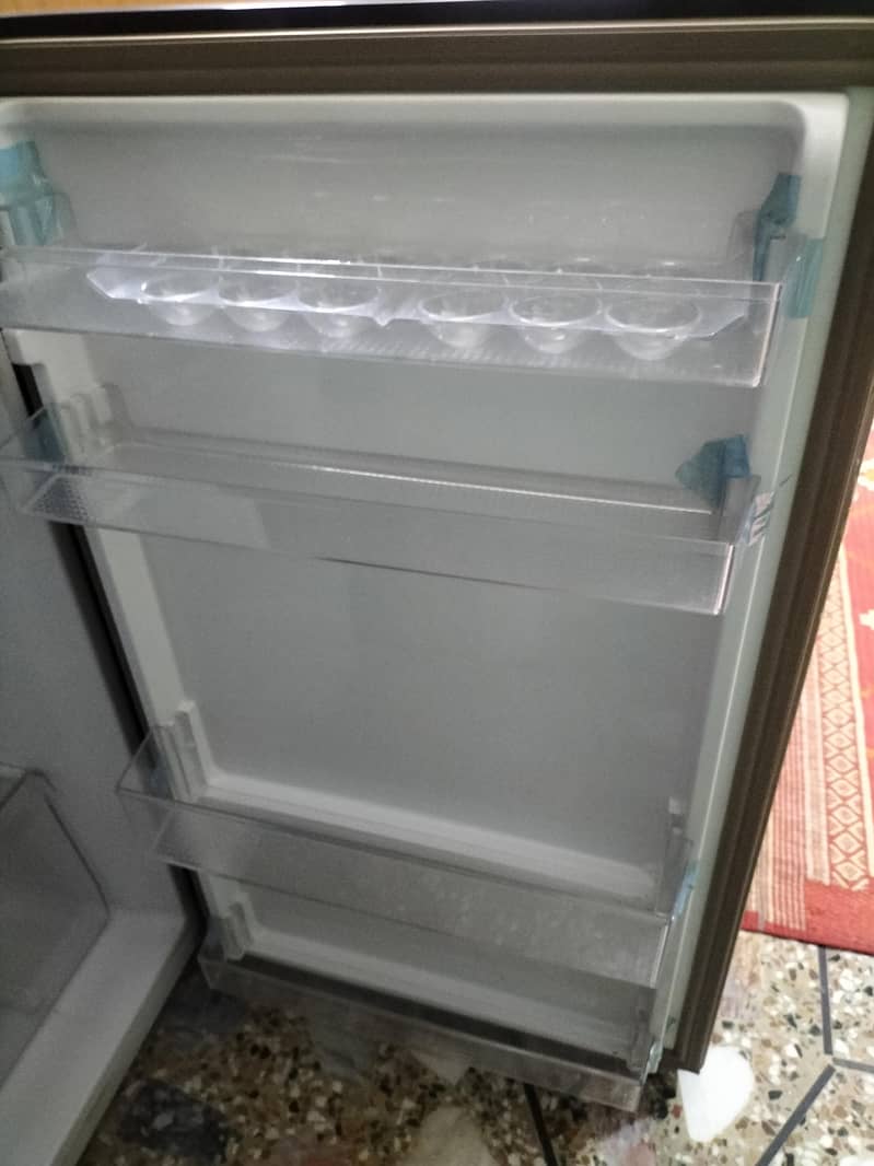 medium size 4