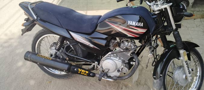 ybz jenion condition