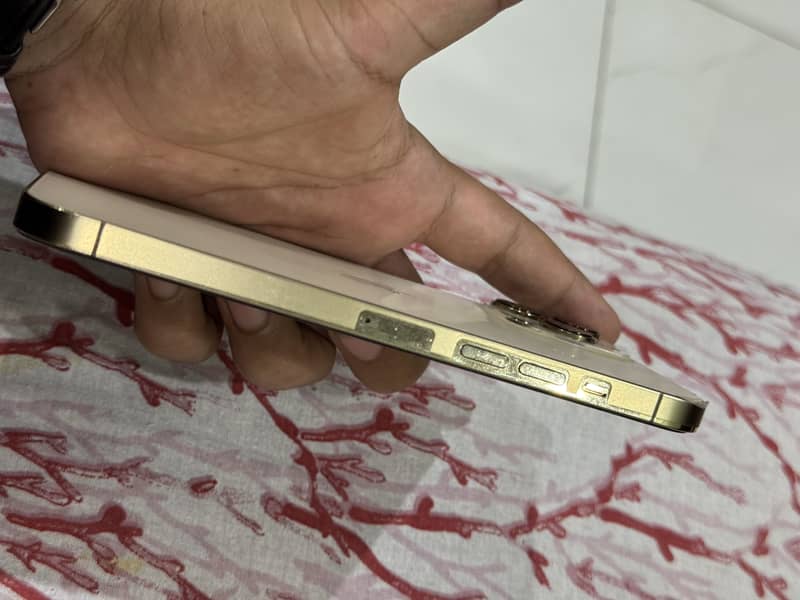 Apple iPhone 13 Pro Max 4