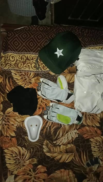 new helmet gloves dress L guard