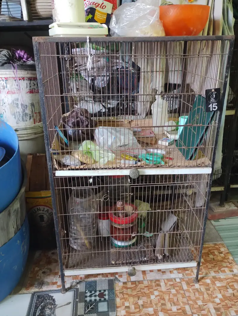 birds cage,birds feeders nesting boxes — photo 2