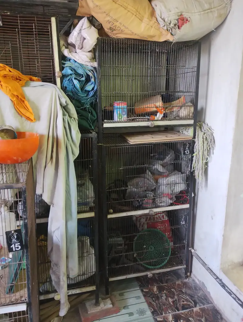 birds cage,birds feeders nesting boxes — photo 3