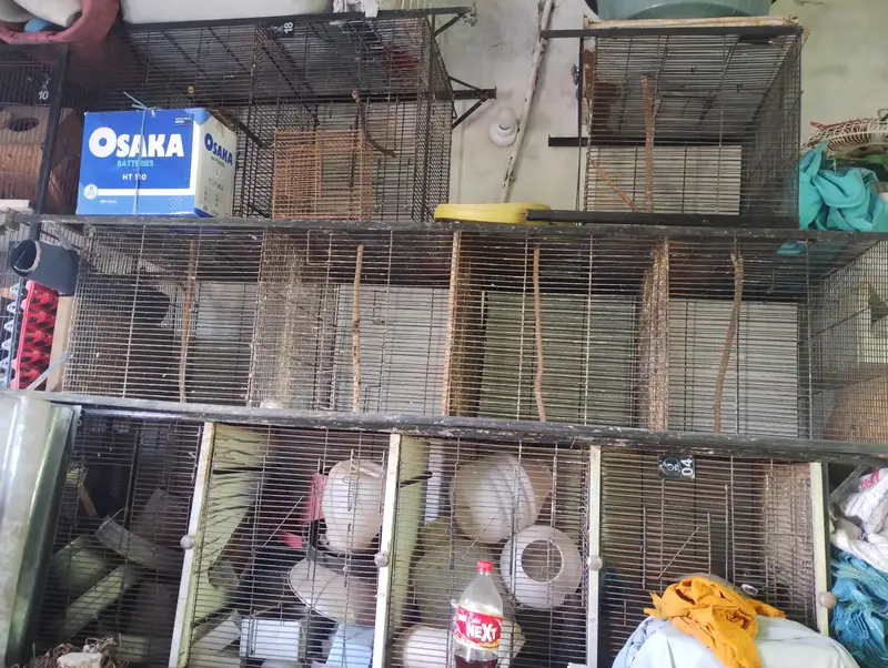 birds cage,birds feeders nesting boxes — photo 4