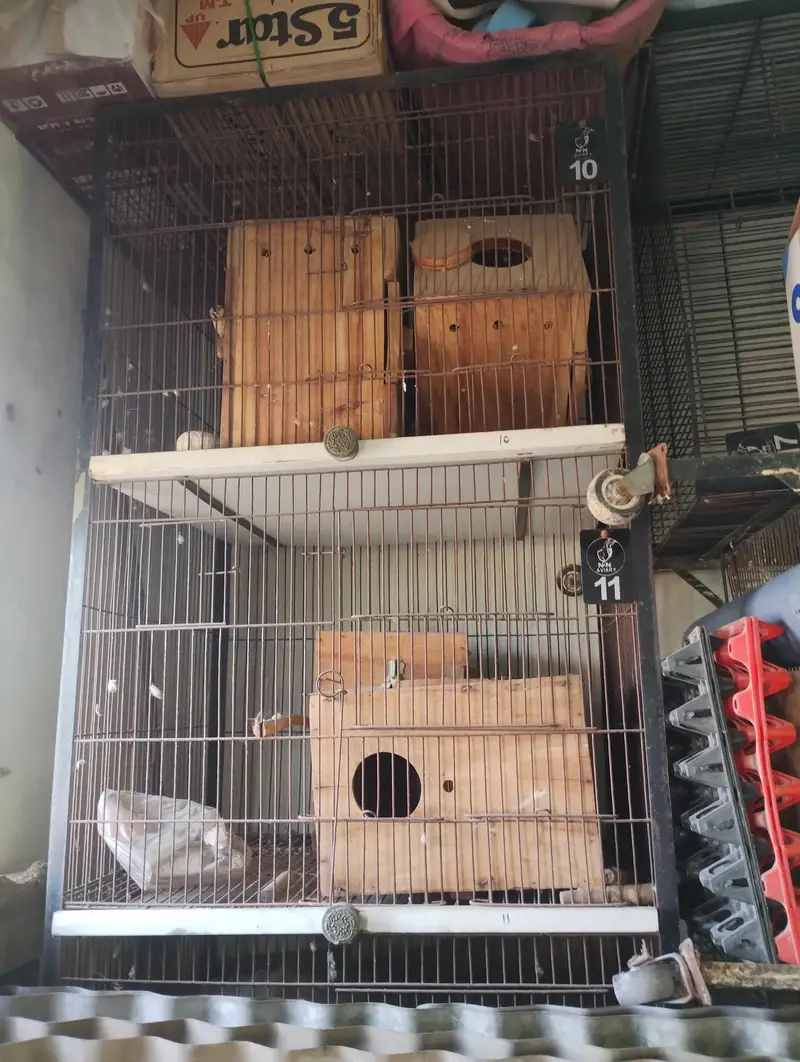 birds cage,birds feeders nesting boxes — photo 5
