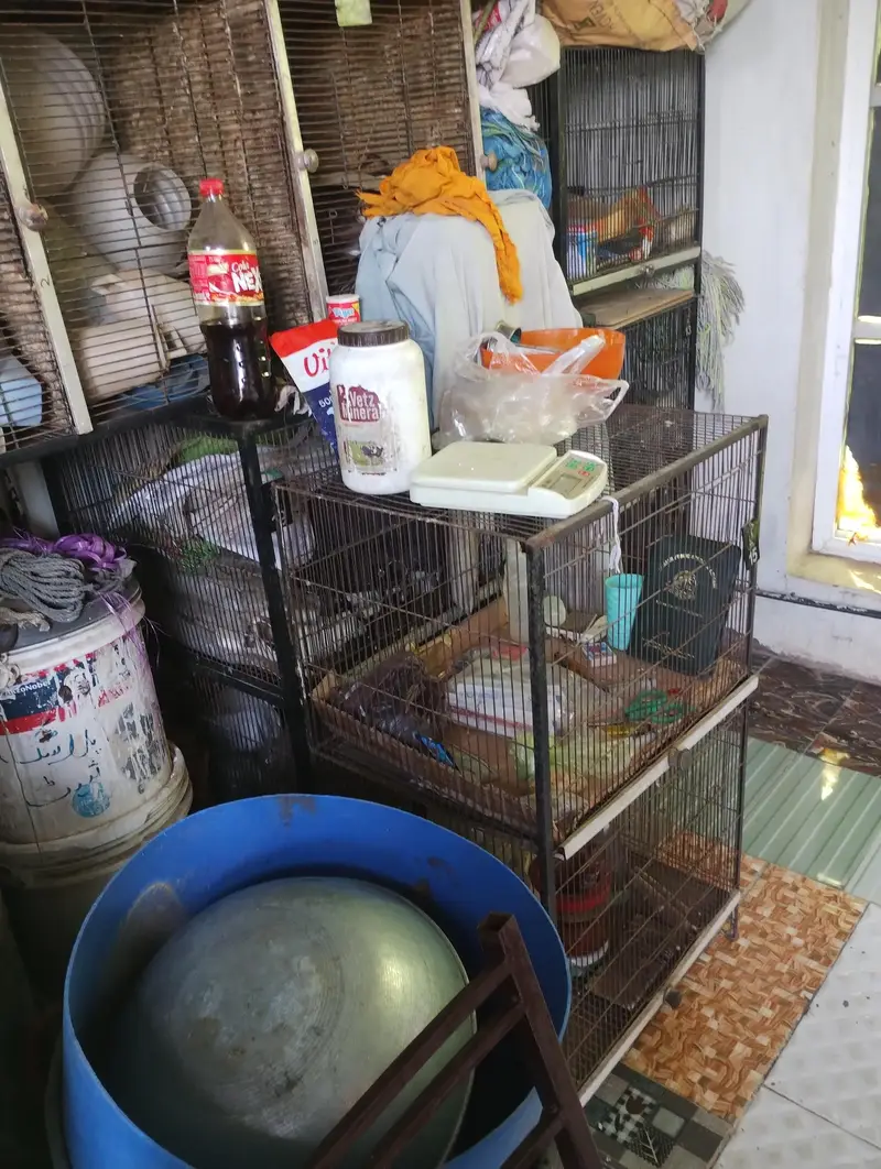 birds cage,birds feeders nesting boxes — photo 6