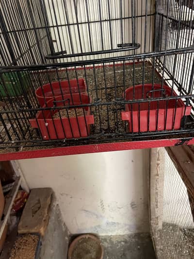 2 portion cage ha mazboot vir ma ha