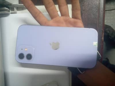 Apple iPhone 12