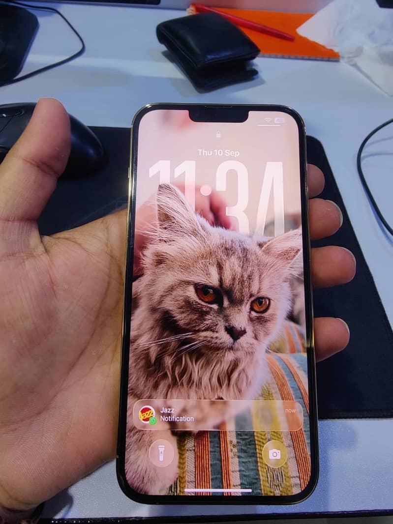 Apple iPhone 13 Pro Max 3