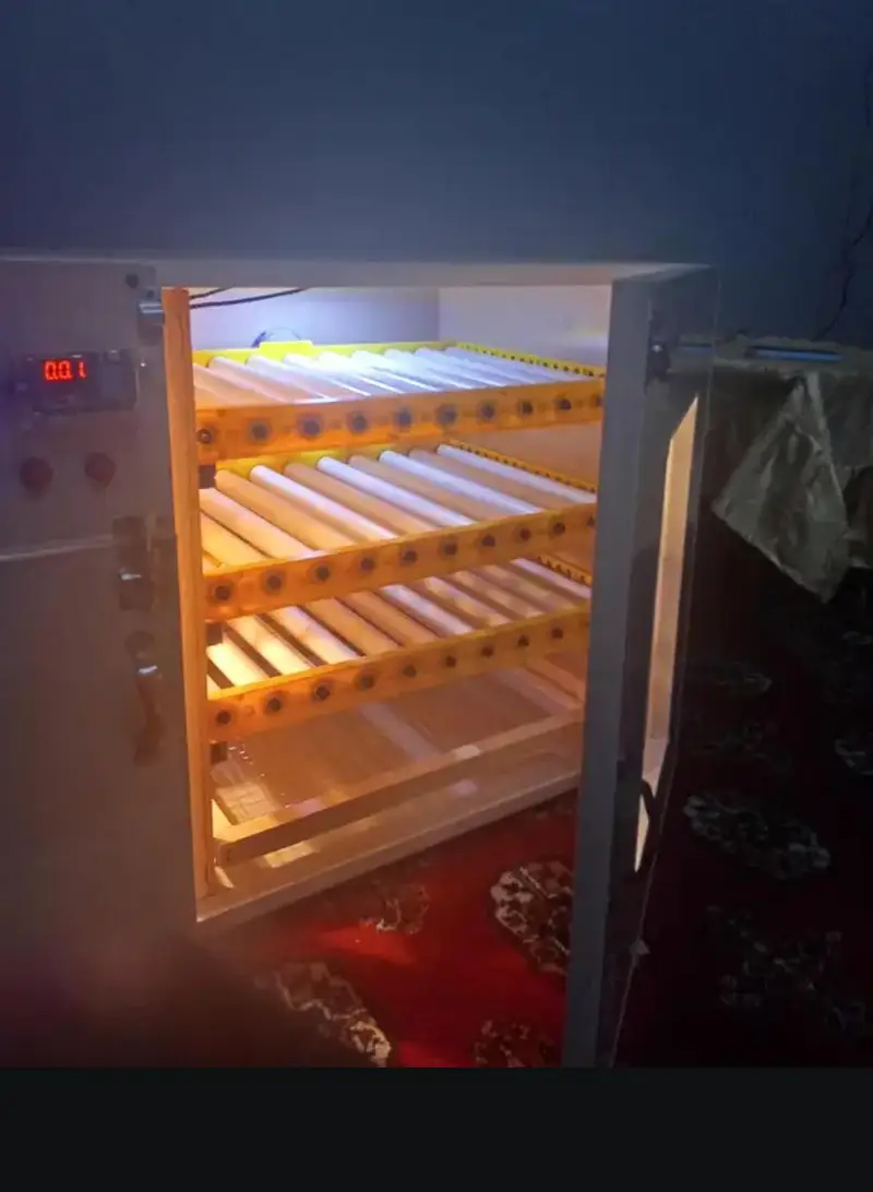 Fully Automatic Egg incubator 180 eggs — photo 5