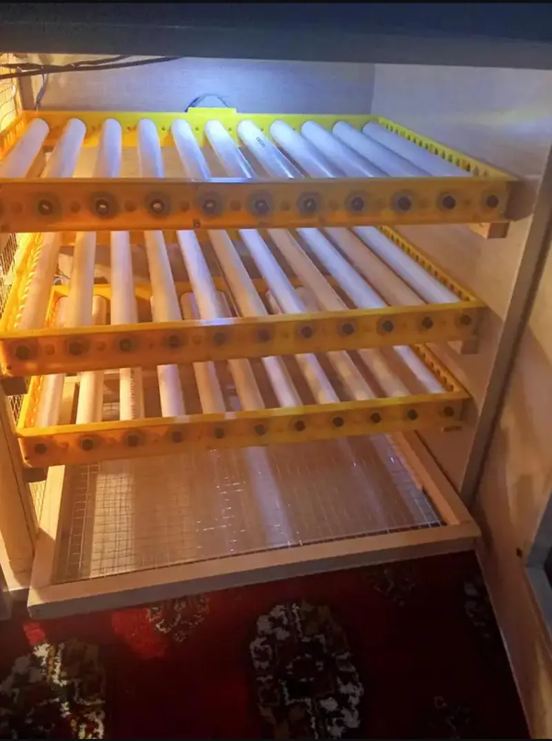 Fully Automatic Egg incubator 180 eggs — photo 6