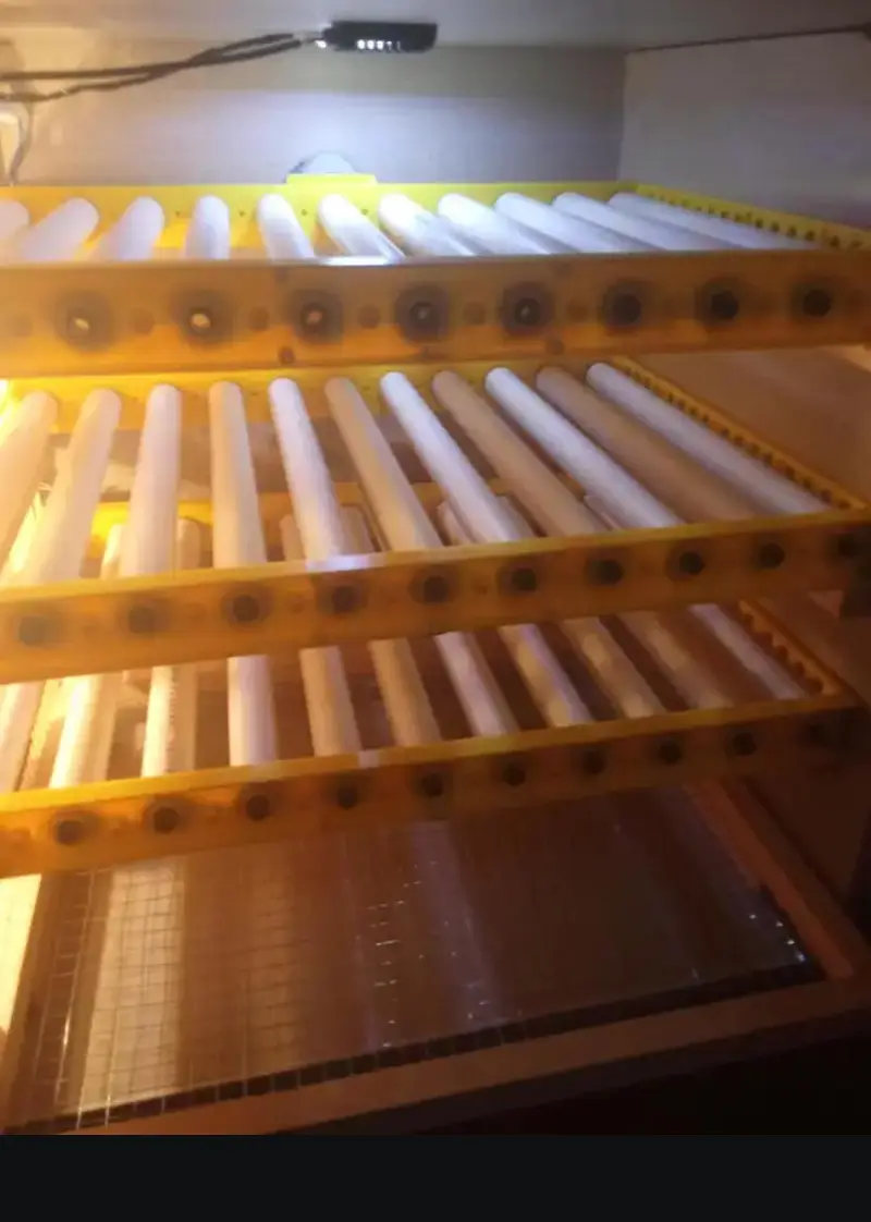 Fully Automatic Egg incubator 180 eggs — photo 7