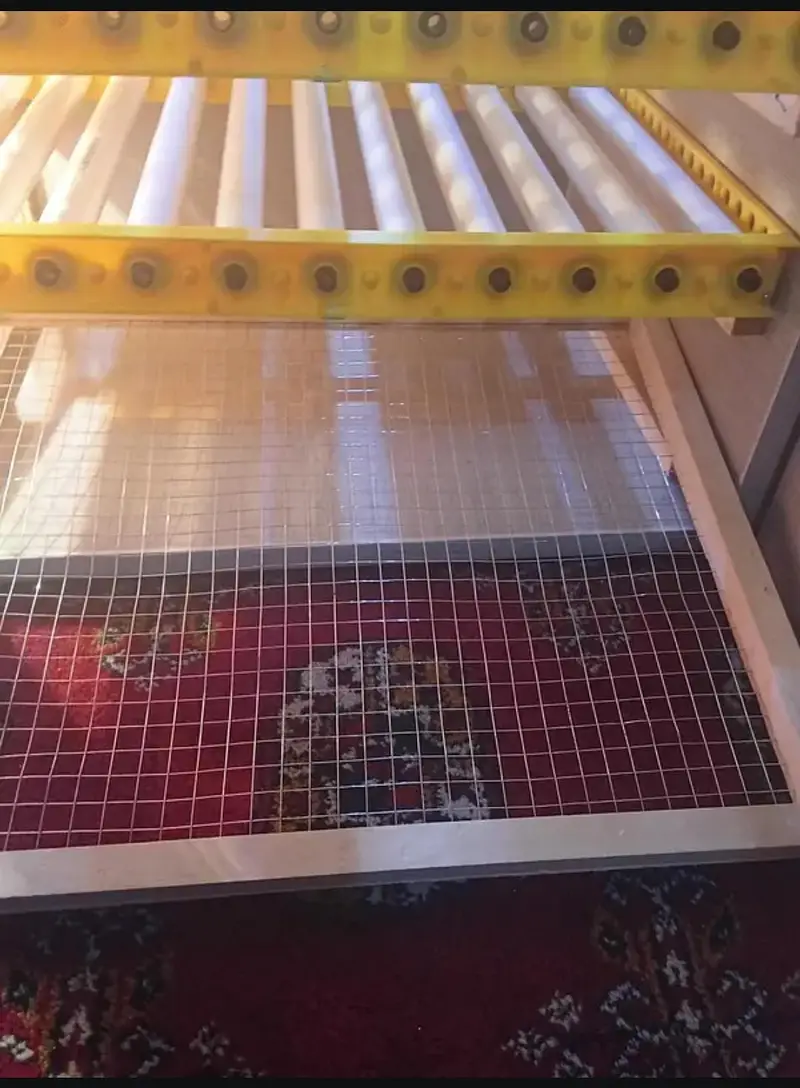 Fully Automatic Egg incubator 180 eggs — photo 8