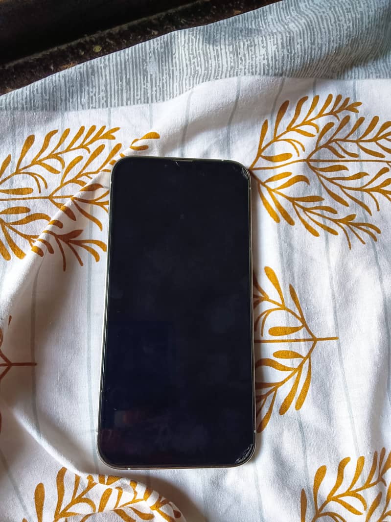 Apple iPhone 13 Pro Max 7