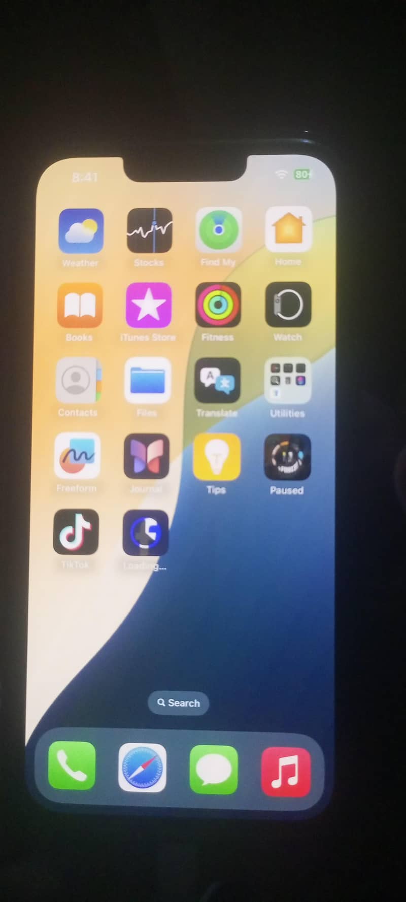 Apple iPhone 13 2