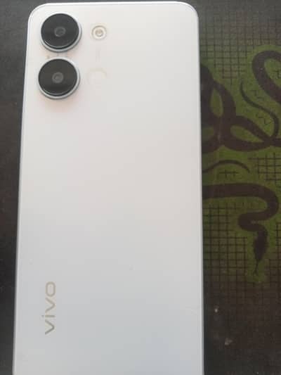 vivo 05