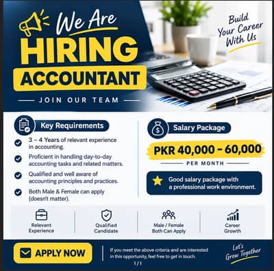 Accounts and Audit Exective