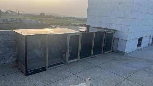 PVC waterproof cage for Hens