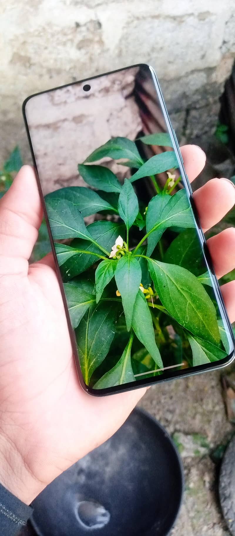 Honor 90 2