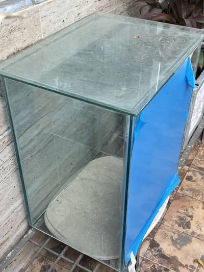 Fish Aquarium
