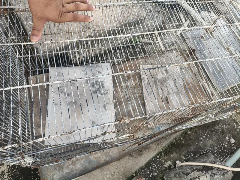 birds Cage for sale — photo 2