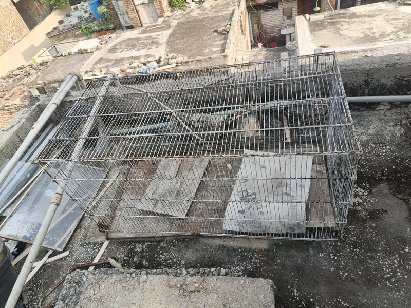 birds Cage for sale — photo 3