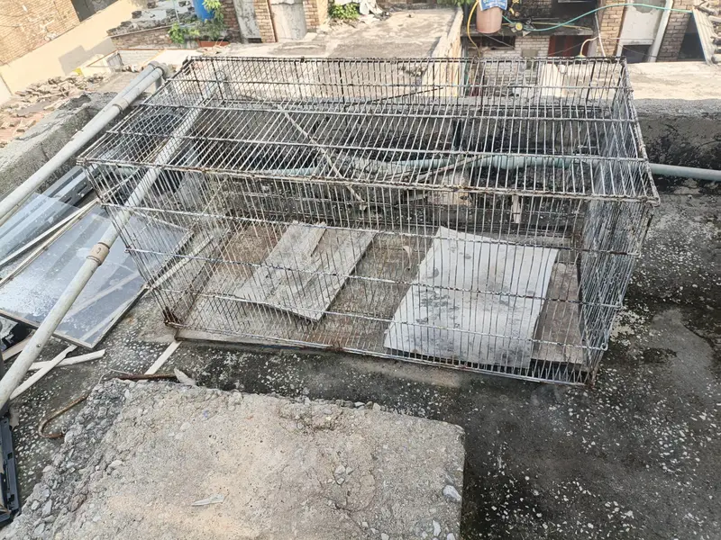 birds Cage for sale — photo 4
