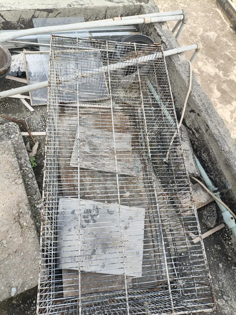 birds Cage for sale — photo 5