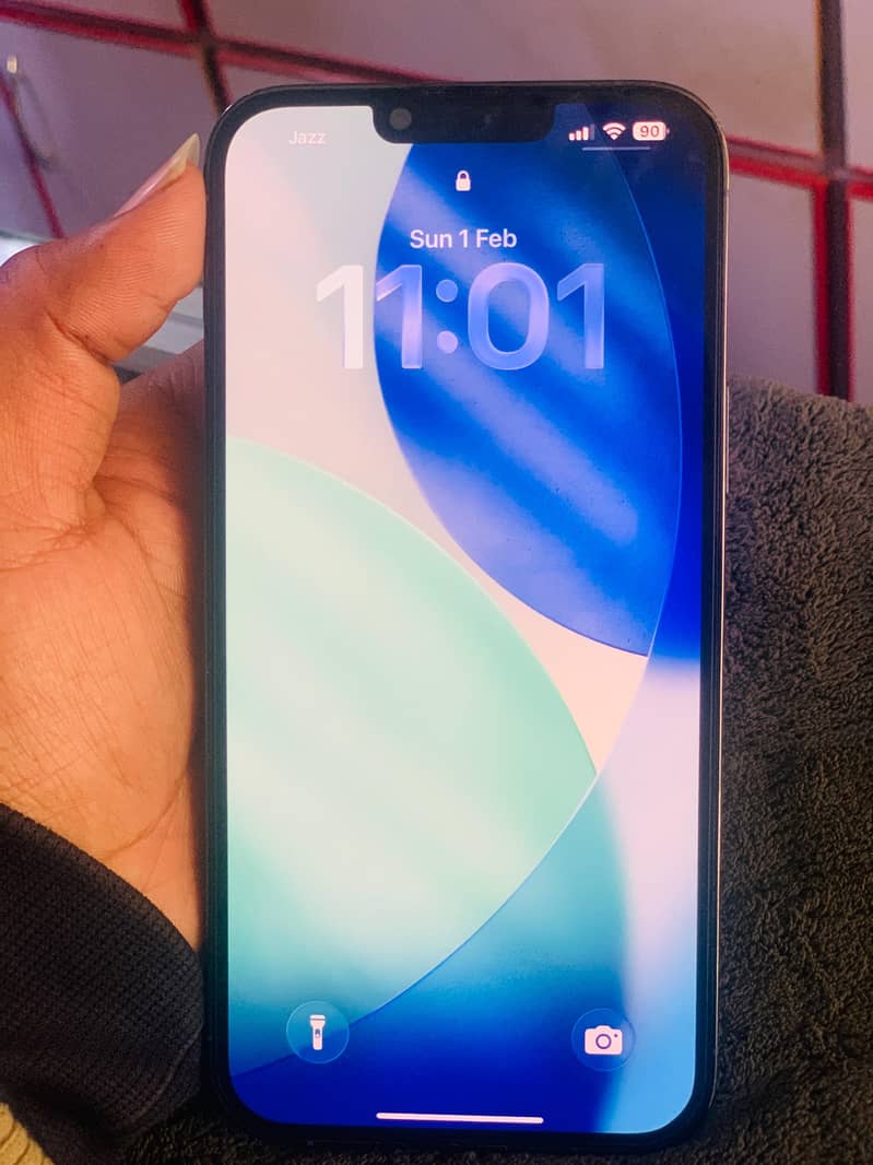 Apple iPhone 13 Pro Max 0