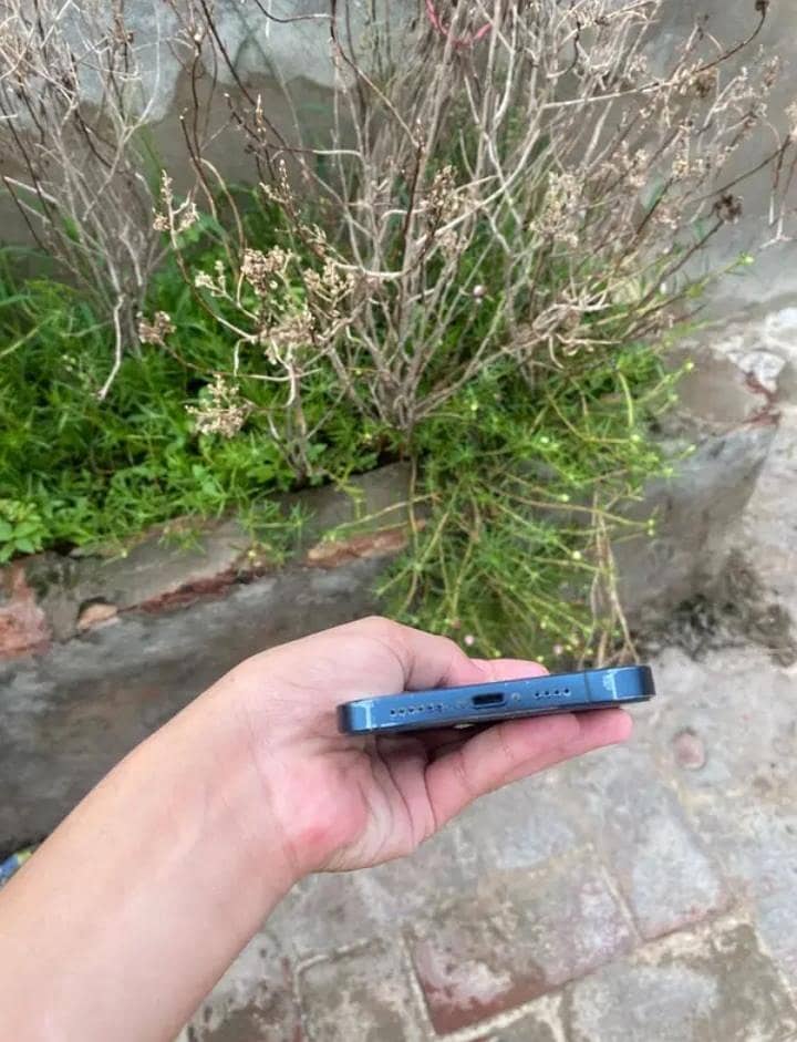 Apple iPhone 12 Pro Max 1